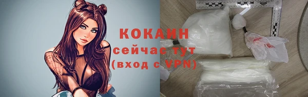 дмт Абаза