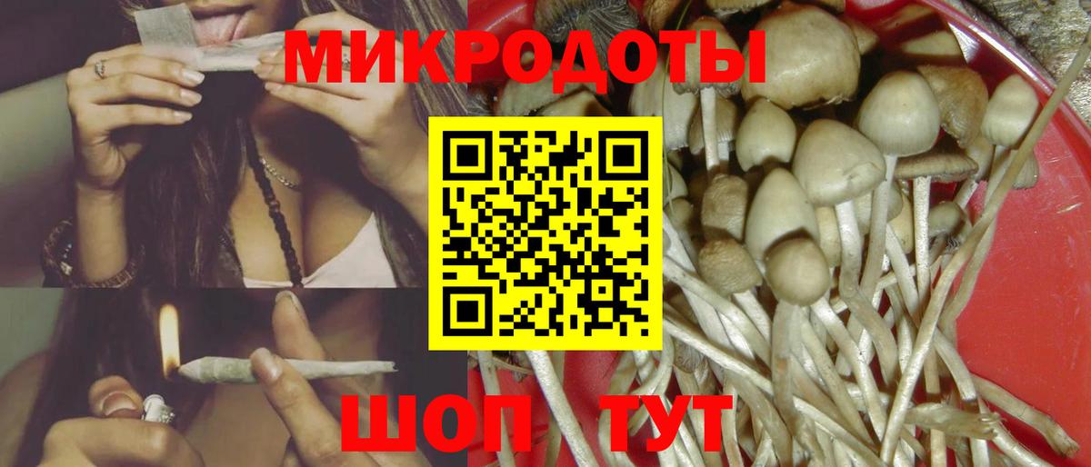 Псилоцибиновые грибы ЛСД  Вход с VPN  Галлюциногенные грибы Cubensis  Заволжье 
