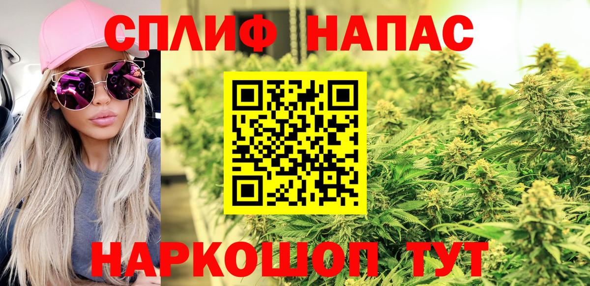 Каннабис планчик Заволжье